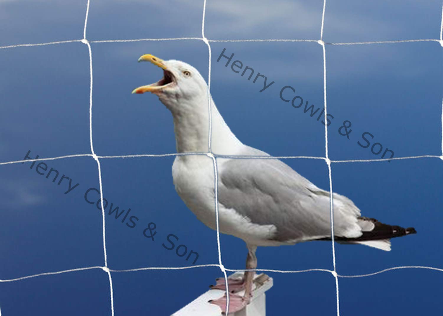 Seagull Netting - Knotted 75mm