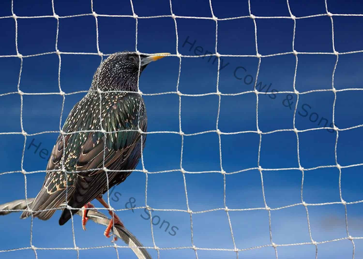 Starling Netting - Knotted 28mm