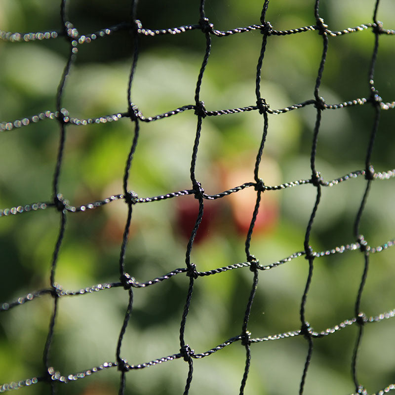 Walk-in Fruit Cage 6.5m Width