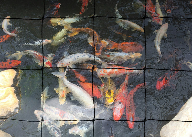 Bespoke Pond Netting - 75mm