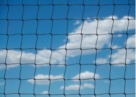 Large Bird Netting - 50mm | Henry Cowls
