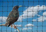 Load image into Gallery viewer, 28mm Starling Netting Bespoke