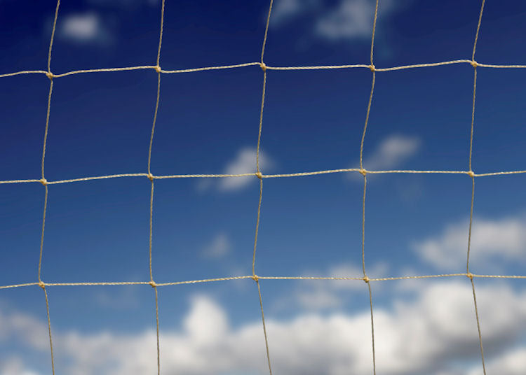 Large Bird Netting - 50mm | Henry Cowls