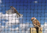 Load image into Gallery viewer, Small Bird Netting - 19mm