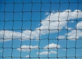 Peacock & Geese Netting