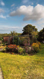 Load image into Gallery viewer, Fruit cage in a garden