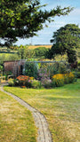 Load image into Gallery viewer, Fruit cage in a garden