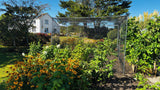 Load image into Gallery viewer, Fruit cage in a garden