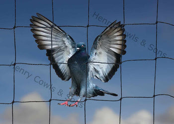 Bespoke Pigeon Netting - 50mm