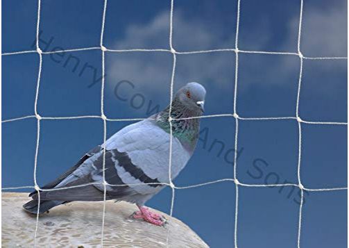Peacock & Geese Netting - 50mm | Henry Cowls