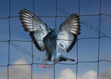 Load image into Gallery viewer, 50mm Pigeon No Flame Netting Bespoke.