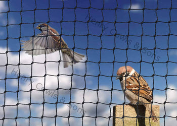 Small Bird Netting
