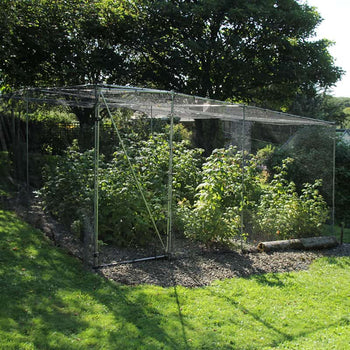 Walk-in Fruit Cage 2m Width